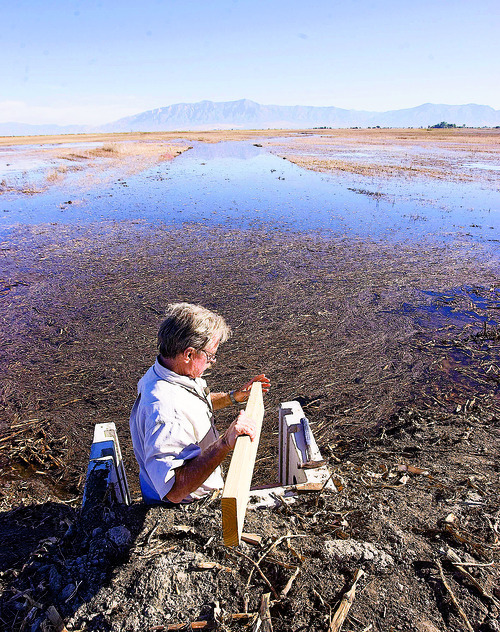 Al Hartmann  | Tribune file photo
Val Bachman,  manager of Ogden Bay Waterfowl Management Area, has made a career out of getting wet and muddy, then wading into a little paperwork, too. He knows the locations of all the refuge's 250 head gates that control where the water goes to create wildlife habitat on Ogden Bay.